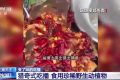 流量至上催生獵奇式吃播 多管齊下如何剎住“吃奇”之風？縮略圖