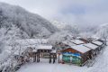 降溫要來了！1月11日—15日陜西多雨雪天氣 陜北降溫8-10 ℃縮略圖