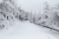 雨夾雪！小雪！小到中雪！漢中氣象發(fā)布黃色預(yù)警信號→縮略圖