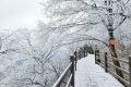 龍頭山今日又下雪啦，每一幀都是“限定浪漫”！縮略圖