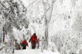 【鬧元宵·賞雪景】一起去漢江源看雪吧！縮略圖